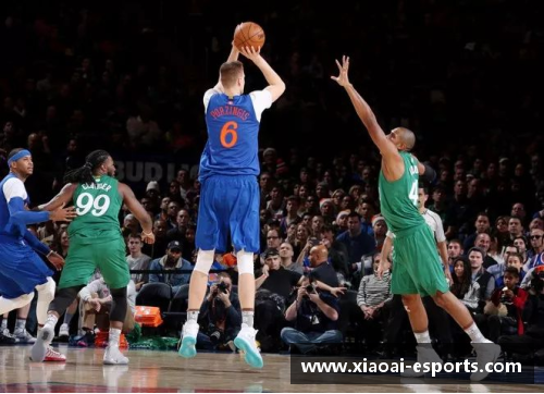 NBA 2014赛季：全面回顾赛程与关键战役