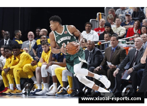 NBA世界：探索篮球联盟背后的故事