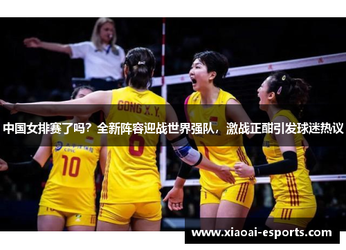 中国女排赛了吗？全新阵容迎战世界强队，激战正酣引发球迷热议