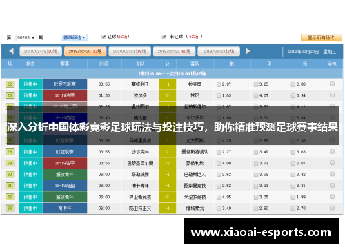 深入分析中国体彩竞彩足球玩法与投注技巧，助你精准预测足球赛事结果
